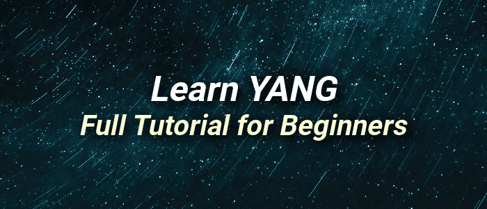 Learn YANG - Full Tutorial for Beginners